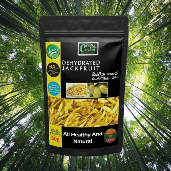 Dried Unripe Jackfruit Slices 80g