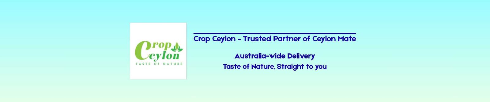 Brand Banner